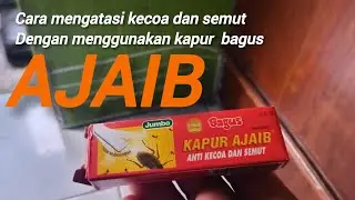 Tutorials||Cara mengatasi kecoa dan semut dengan menggunakan kapur bagus AJAIB mudah dan cepat