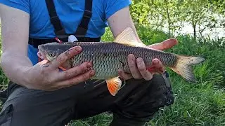 Рыбалка на Оке! Долбанул как на крэнк! Донки на большой воде!