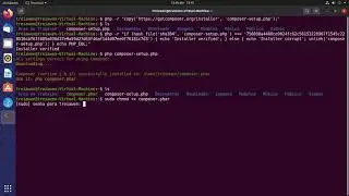 Instalação do Composer no Ubuntu