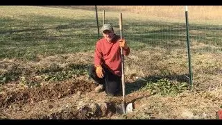 How To Till A Garden Without A Rototiller Double Dig Gardening Method