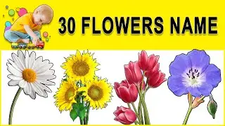 Flowers Name in English | फूलों के नाम | flowers with pictures.