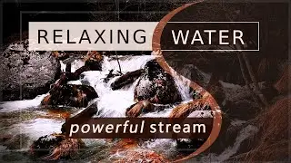 Powerful Stream Sound | RELAXING WATER | Nature Sound | SOOTHING AMBIENCE | Water Sound