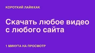 Как скачать любое видео с любого сайта!