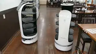 かなや 配膳ロボットBellaBot 常にロボットが待機できるよう10台体制に