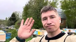 11.05.24 холодно, пчелы коченеют