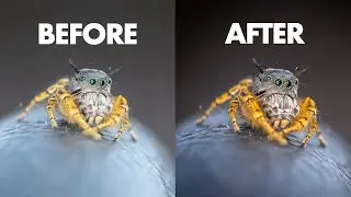 Editing YOUR Macro Photos!!