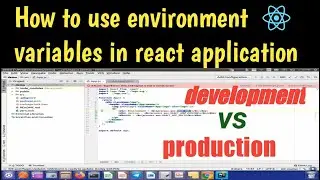 How to use Environment Variables in React application - dotenv file