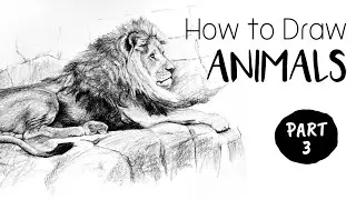 How to Draw & Sketch Animals - Part 3