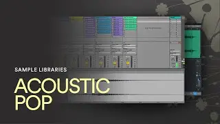 ACOUSTIC POP SAMPLES | Pop Songwriting Loops and Samples Collection for Music Production