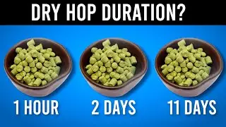 How Long Should You Dry Hop? | exBEERiments