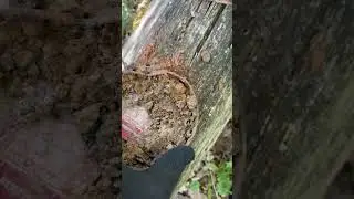 Все нужно проверять! Даже банки!