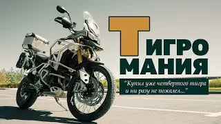 Triumph Tiger 900 Rally Pro 2020 г. vs Triumph Tiger 800 XCA 2019 г.