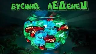 🔥 Темлячная светящаяся Бусина лЕДенеЦ. Дюшес, Барбарис и Мятная 