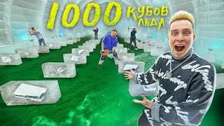 Hid 1000 PRIZES in 1000 ICE CUBES!