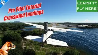 Crosswind Landing Basics | Pro Pilot/Former CFI