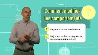 Comportement 2: Les bases du comportement