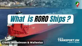 What is RORO Ships ?