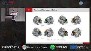 Clément Langlet - Julich-Brain GapMaps parcellation based on structural connectivity using (...)