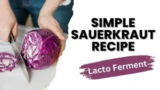 Easy Sauerkraut Recipe | Lacto Fermented for Health and Wellness