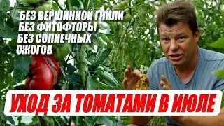 Хотите получить урожай томатов, без вершинной гнили, без фитофторы и прочих болячек и проблем