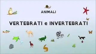 ANIMALI VERTEBRATI E INVERTEBRATI