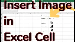 You Must Learn This Best Practice on How to Insert Images into Cells in Excel