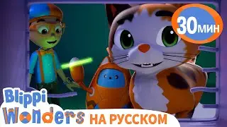 Зачем кошке УСЫ?🐈 | Обучающие мультики для детей | Blippi Russian