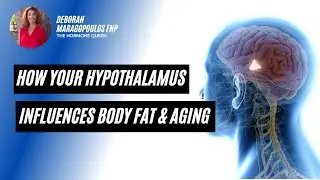 Unlocking the Secret: How Your Hypothalamus Influences Body Fat & Aging