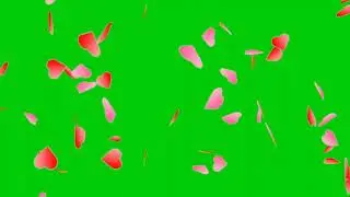 heart shower green screen template  new heart shower green screen effect template 2021