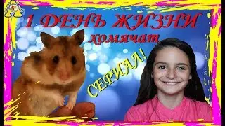 Первый ДЕНЬ ЖИЗНИ ХОМЯЧАТ / Как ухаживать за хомячатами /  How to care for the hamsters / АЛИСА ИЗИ