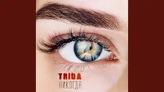 Никогда