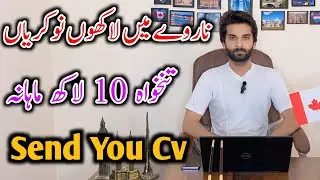 Norway Online Job Vacancies 2024 || Easy To Get Visa From Pakistan