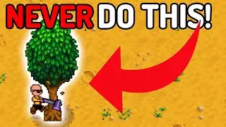 THIS Is What I Learned After 1,812 Hours of Stardew Valley