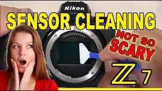 Cleaning your mirrorless sensor is not so scary  Nikon Z7