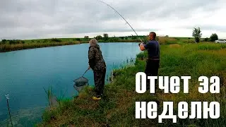 Отчет рыбалки за неделю. 