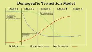 Animation of the demographic transition model and population growth & decline