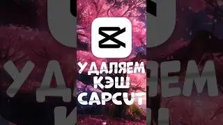 как удалить кэш в capcut на пк