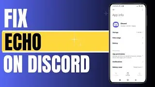 How to Fix Echo on Discord ?