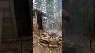 Taiga vibe