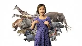 ASL Animals Song Lesson for Kids - Learn how to sign Animals with Fireese