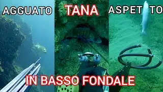 Pescasub: DUE GIORNI 