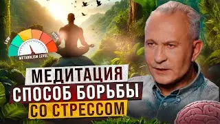 Как правильно медитировать? Всё, что нужно знать для эффективной практики