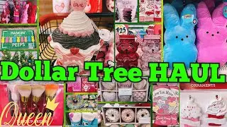 HUGE Dollar Tree Plus Bonus HAUL!! Tons of New Dollar Tree Seasonal Must Haves!!