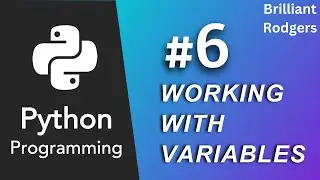 How to Work with Variables in Python