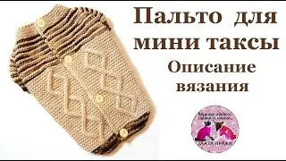 Свитер на пуговицах или пальто для мини таксы. Описание вязания