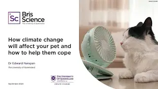 BrisScience (September 2023): How climate change will affect your pet and how to help them cope