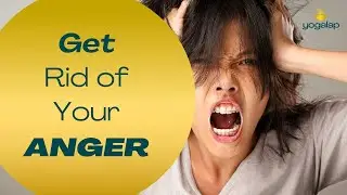 How to get rid of anger | Transformational session with Michaël Bijker