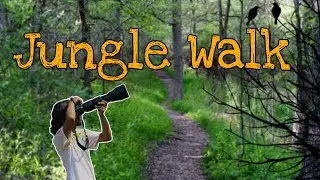 Jungle Walk | Sanghe | EP 1 |