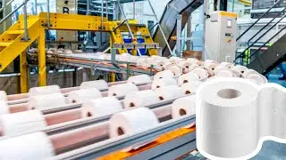 Toilet Paper Mass Production Factory. Toilet Paper Roll Manufacturing Process