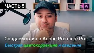 Быстрая цветокоррекция видео - Делаем клип в Premiere Pro | Уроки Adobe Premiere Pro CC 2017